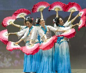 Chinese New Year Splendor